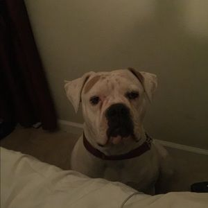 Meet your Posher, Jesse